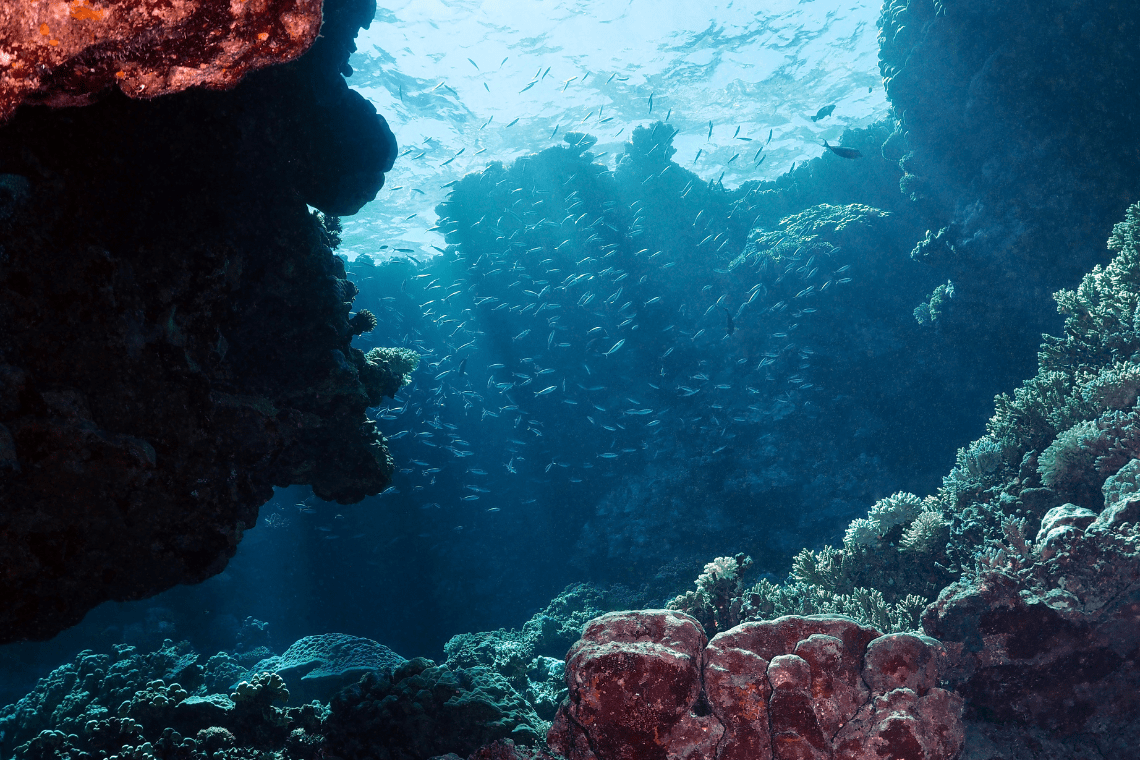 Barakuda Diving Center Barakuda Diving Center