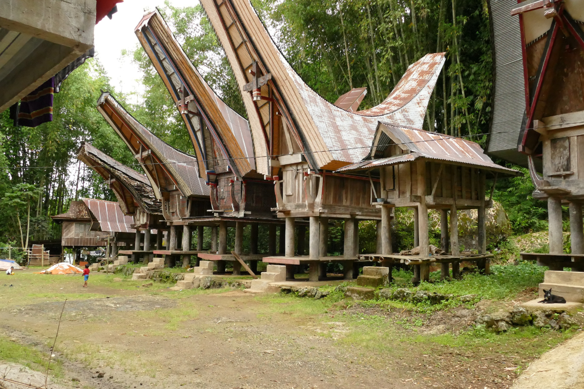 Toraja Tour in Sulawesi Toraja Tour in Sulawesi