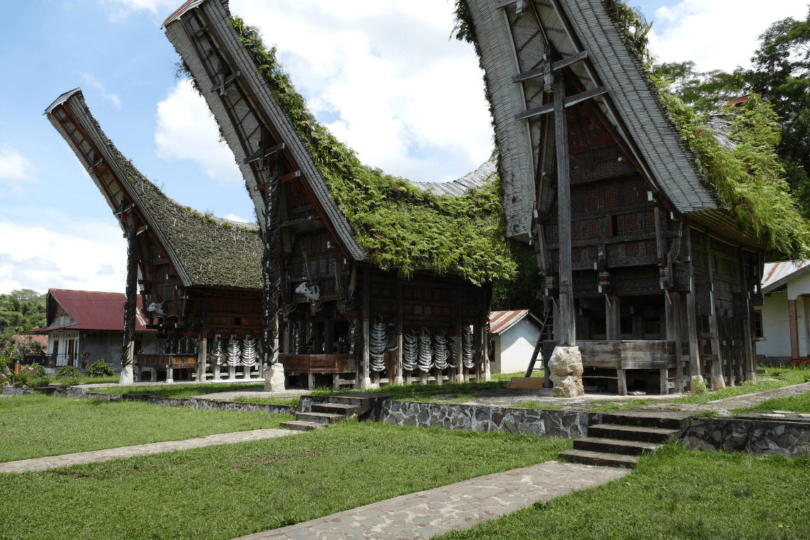 Toraja Tour in Sulawesi Toraja Tour in Sulawesi