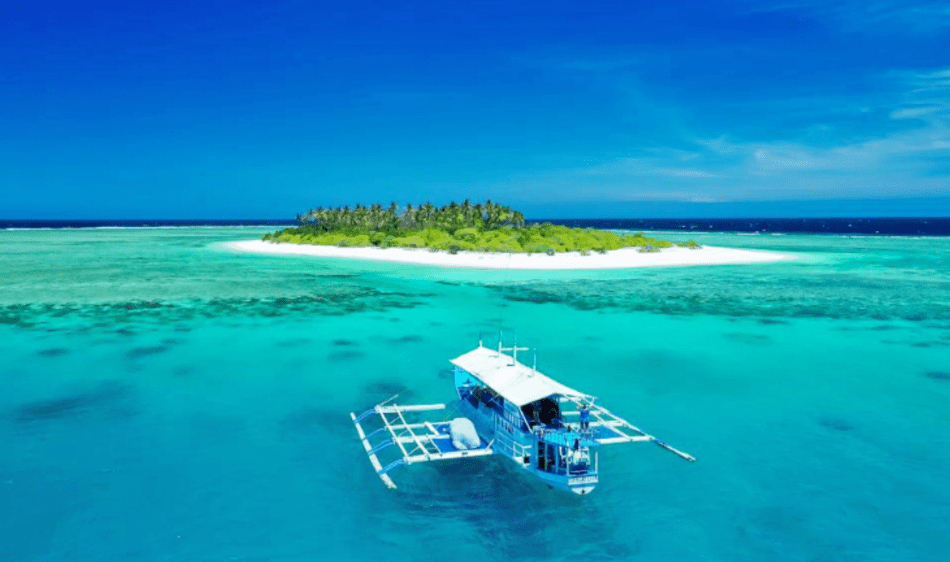 Visaya Dive Safari