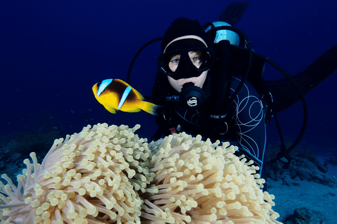 Sharks Bay Umbi Diving Sharks Bay Umbi Diving