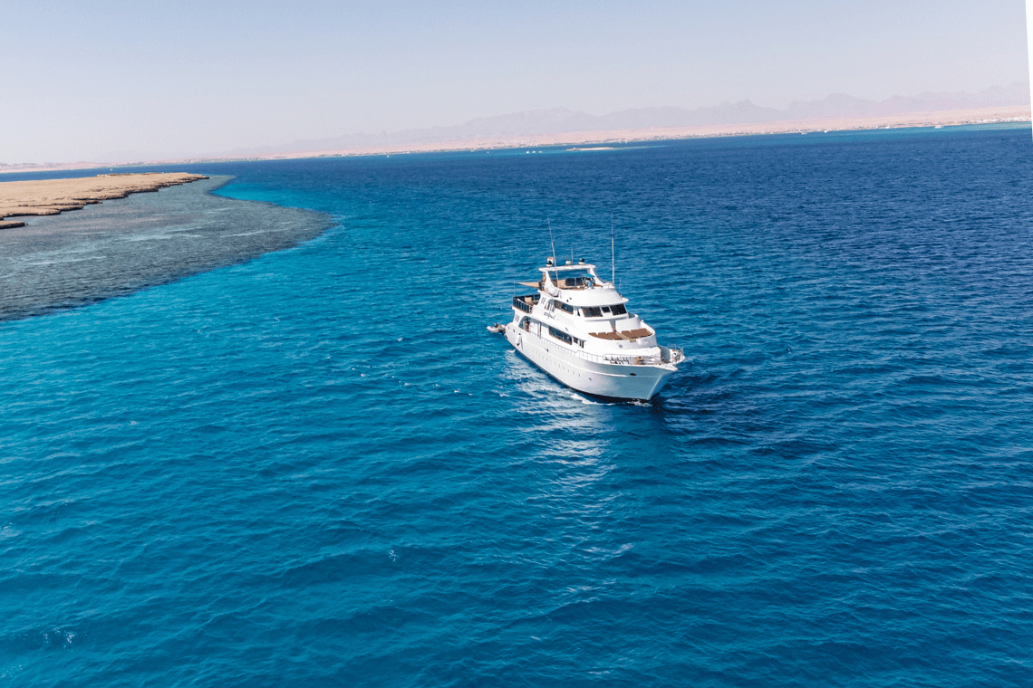 Longimanus Longimanus