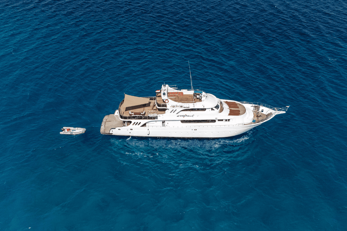 Longimanus Longimanus