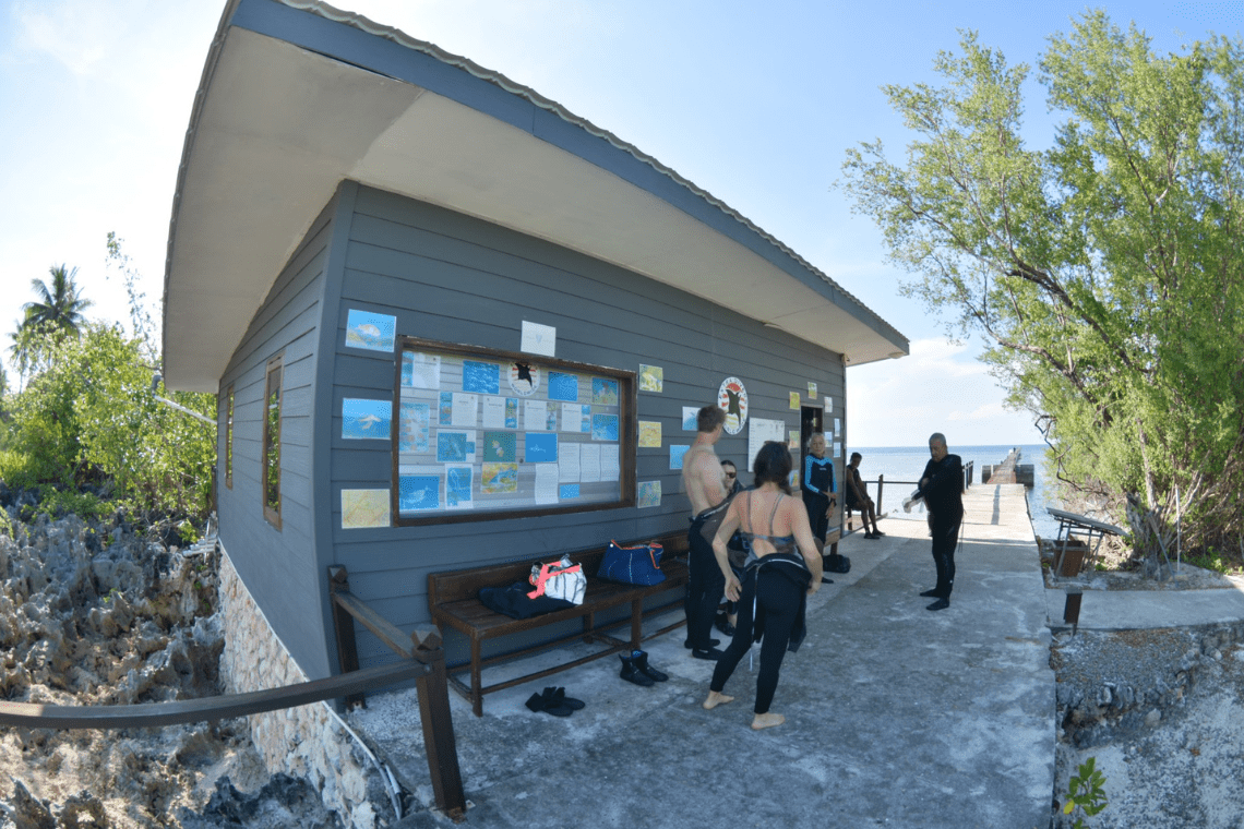 Virgin Cocoa - Extra Divers