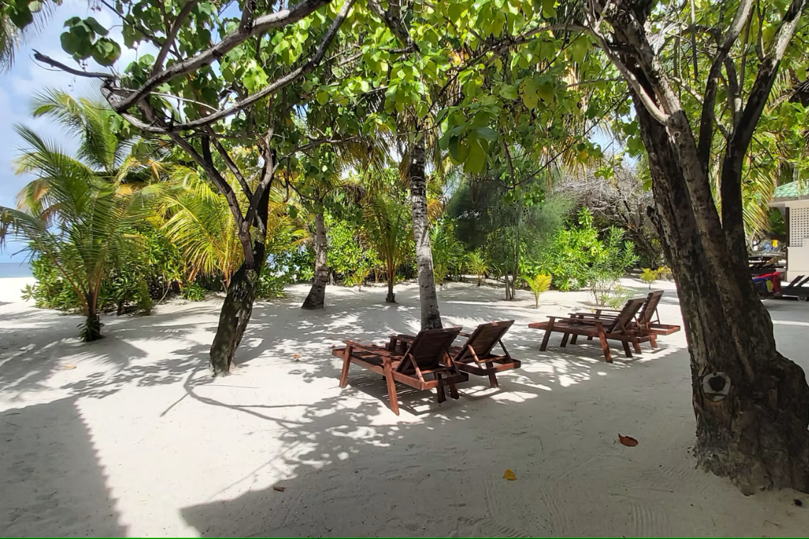 Eriyadu Island Resort - Deluxe Beach Villa Eriyadu Island Resort - Deluxe Beach Villa