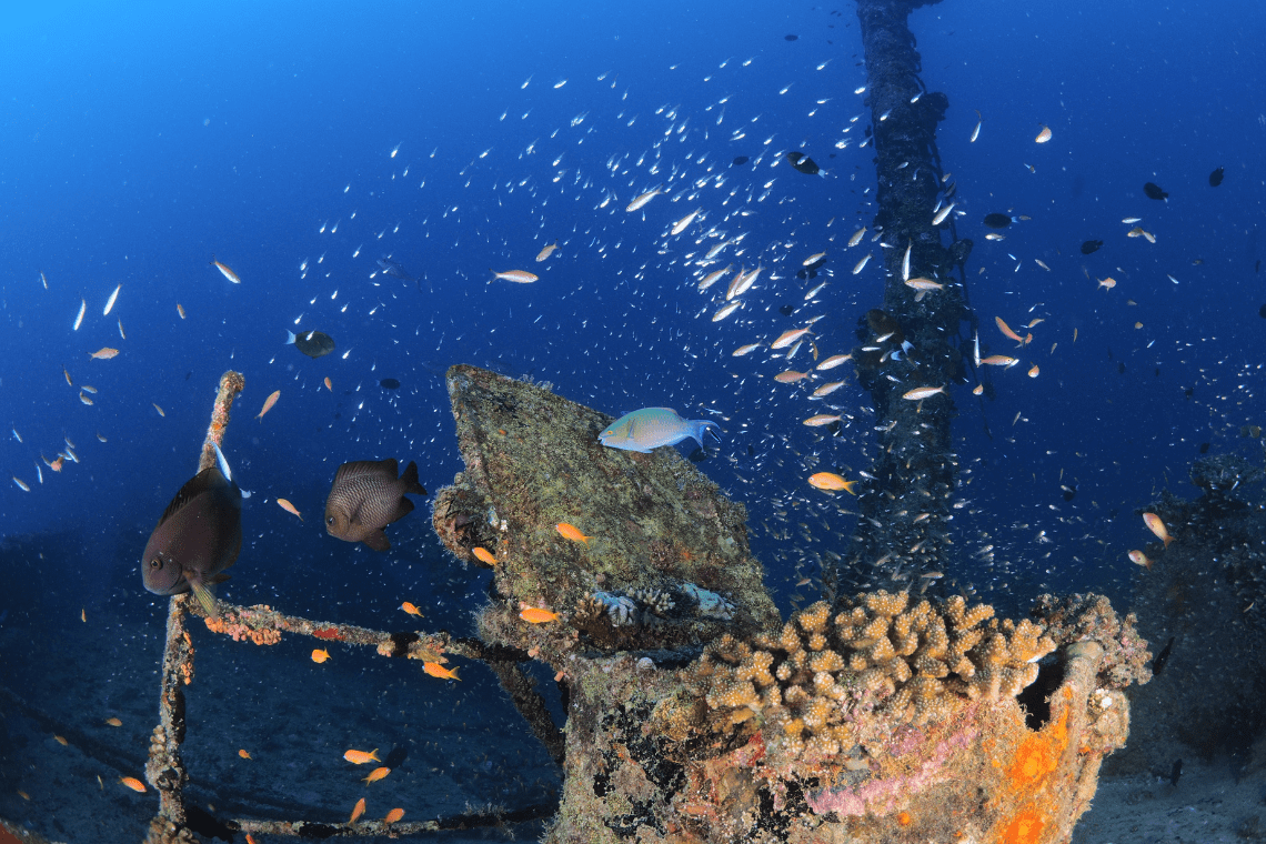 Eriyadu Island Resort Eriyadu Island Resort