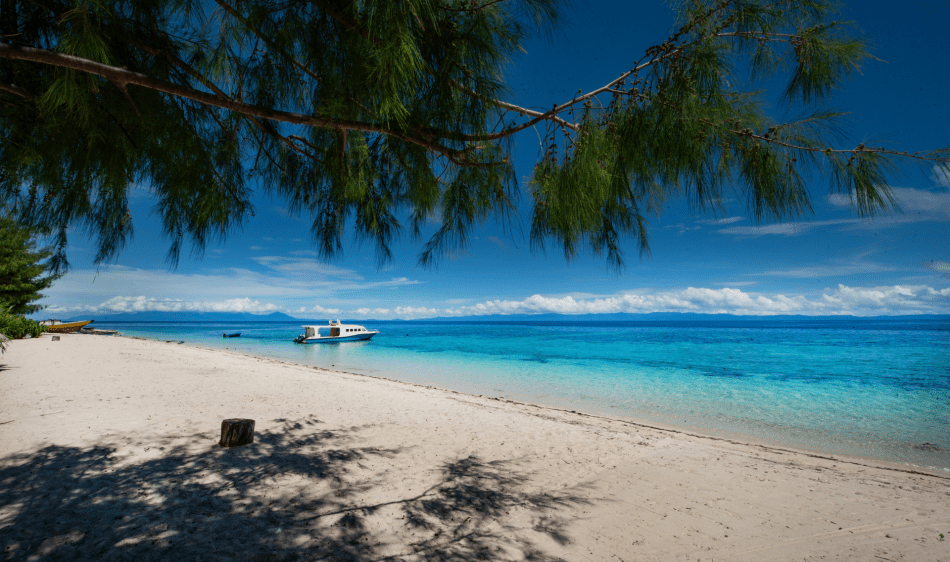 Metita Beach & Dive Resort