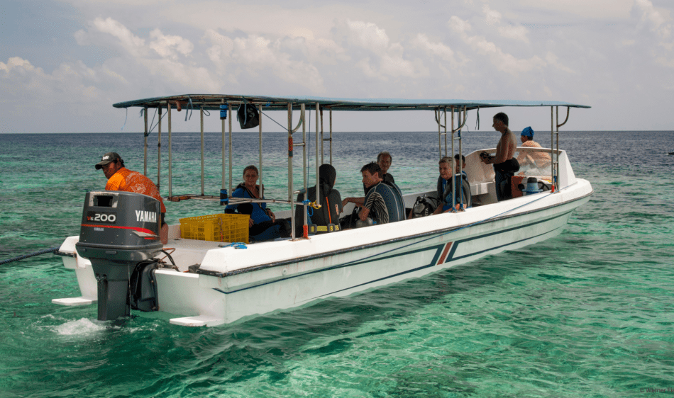 Selayar Dive Resort