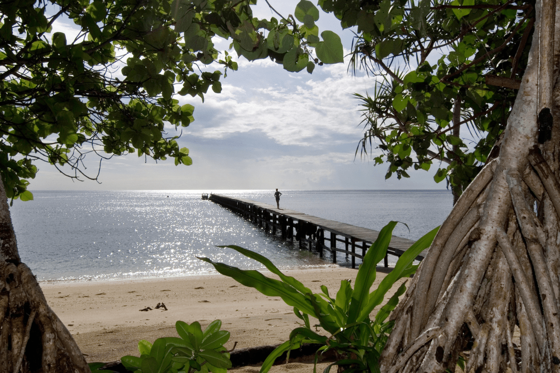 Selayar Dive Resort - resort Selayar Dive Resort - resort