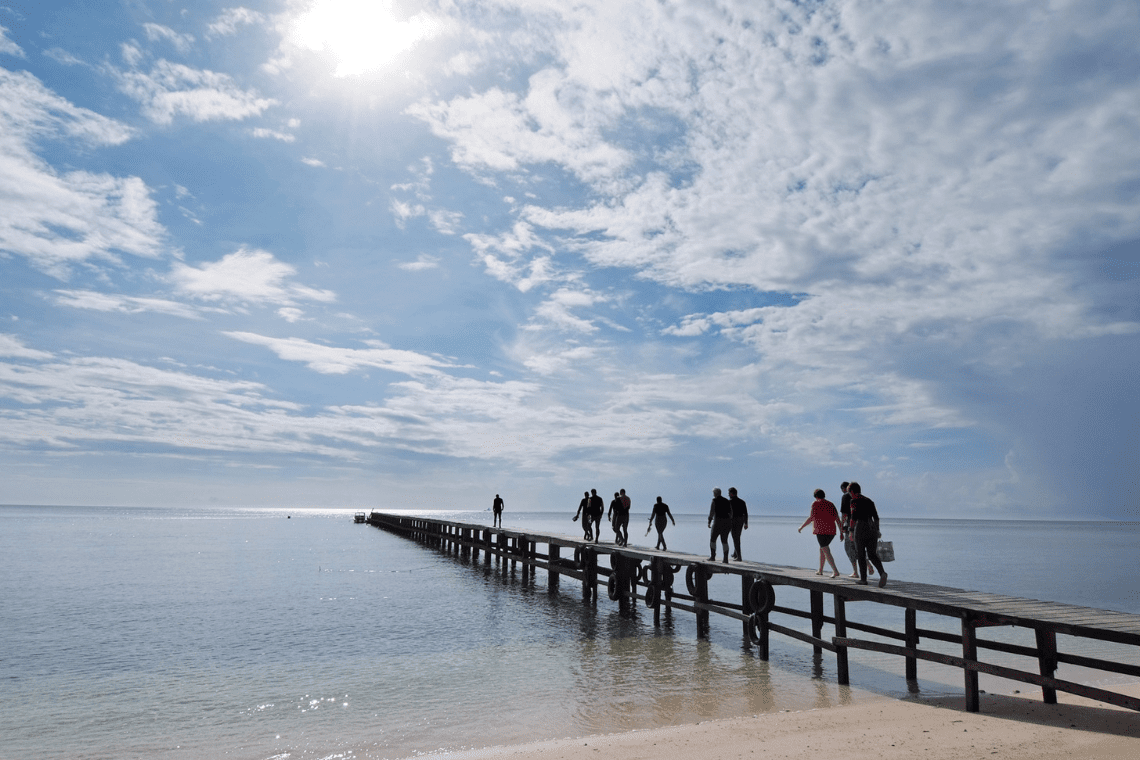 Selayar Dive Resort Selayar Dive Resort