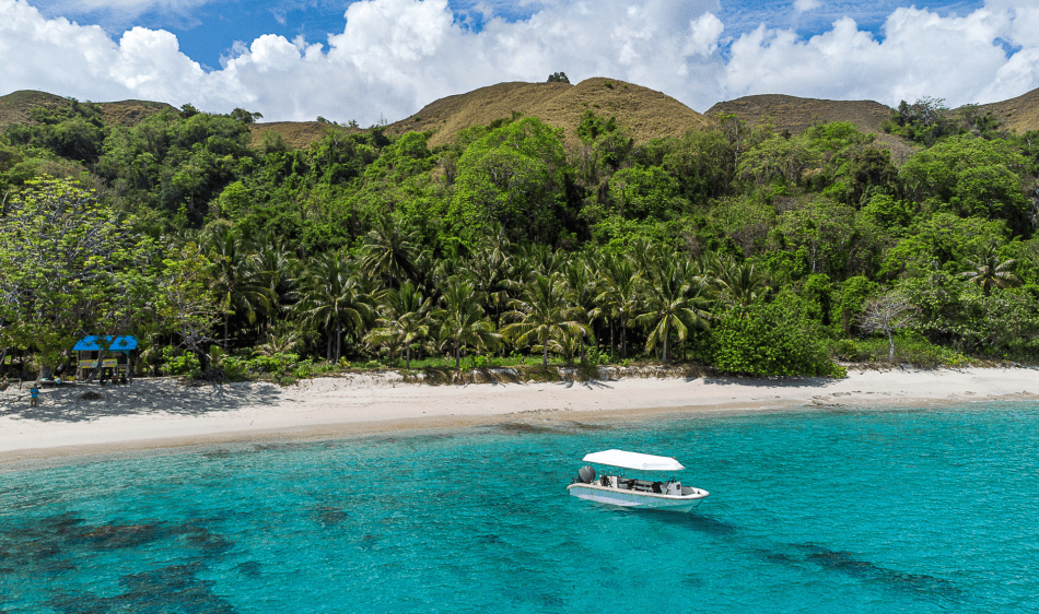 Tompotika Dive Lodge
