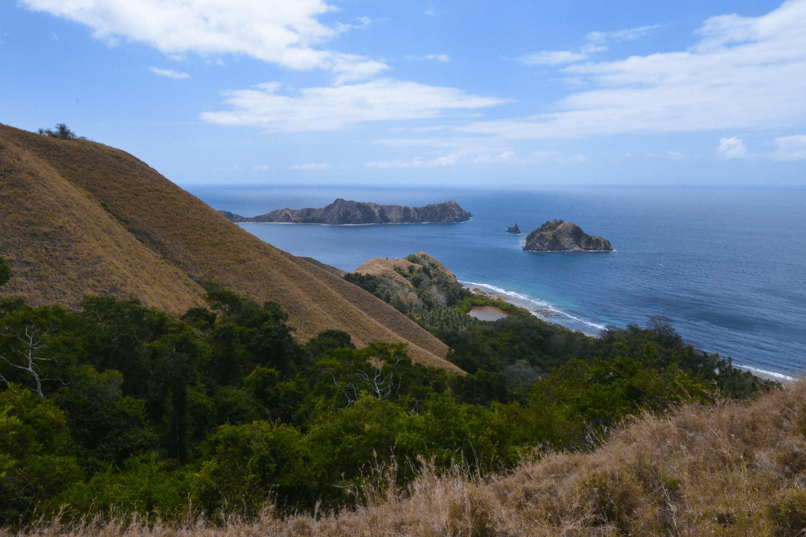 Tompotika Dive Lodge Tompotika Dive Lodge