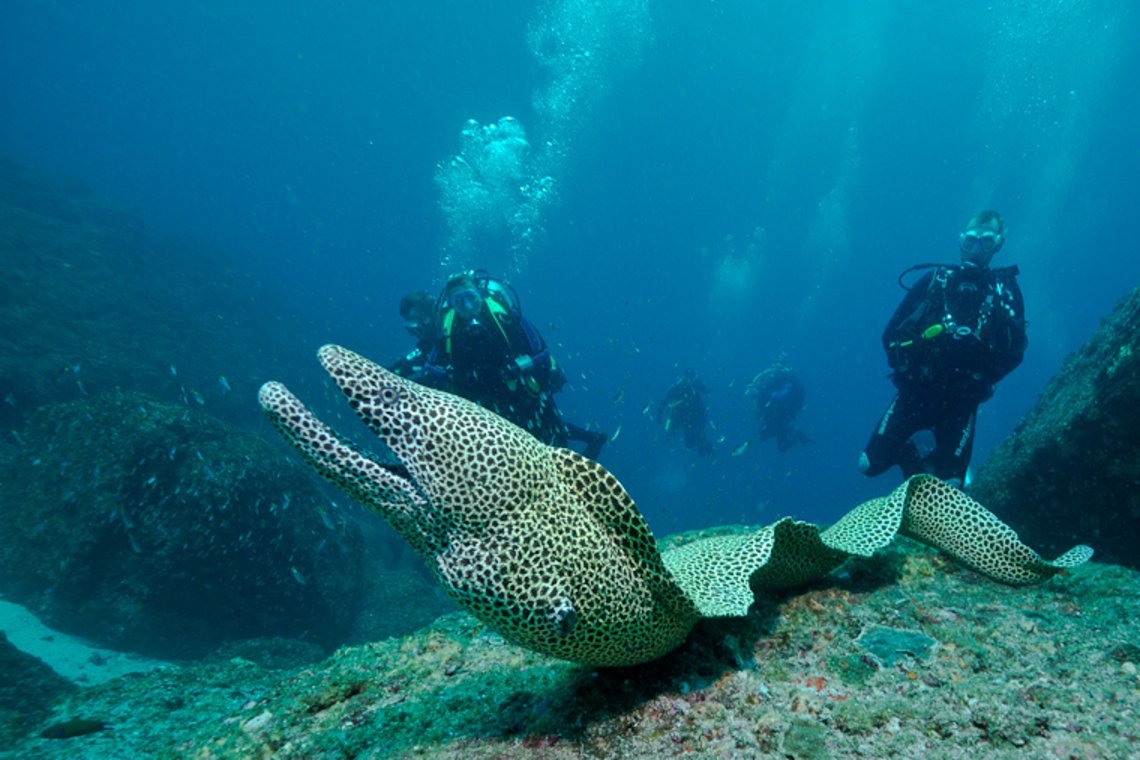 sifawy hotel sifawy hotel duiken