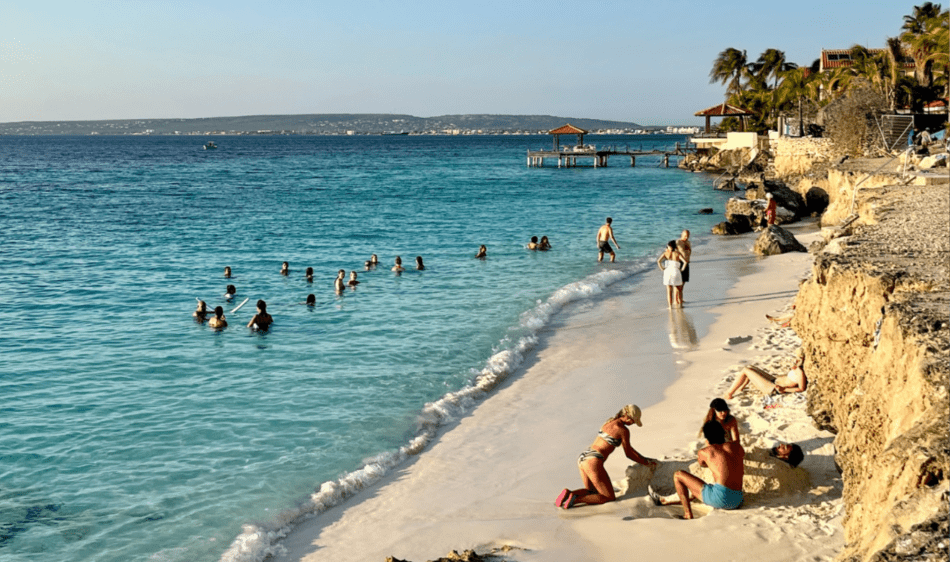 Oasis Guesthouse  Oasis Guesthouse carrousel