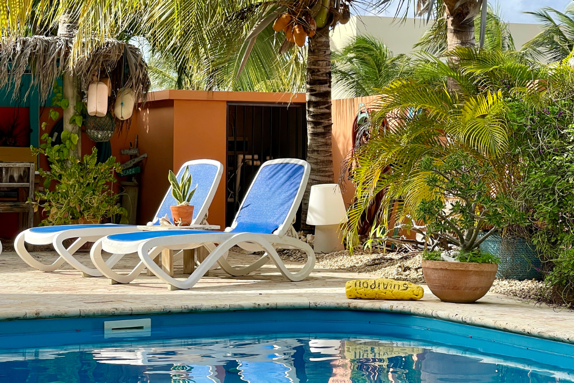 Oasis Guesthouse  Oasis Guesthouse zwembad