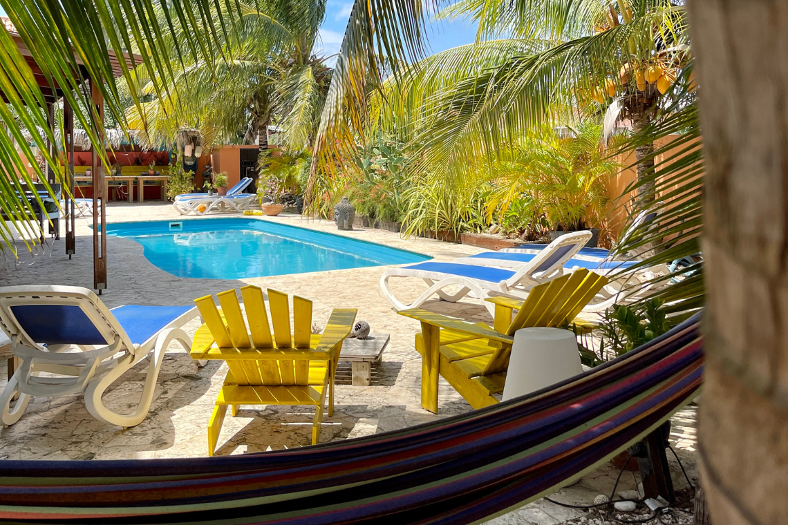 Oasis Guesthouse  Oasis Guesthouse zwembad