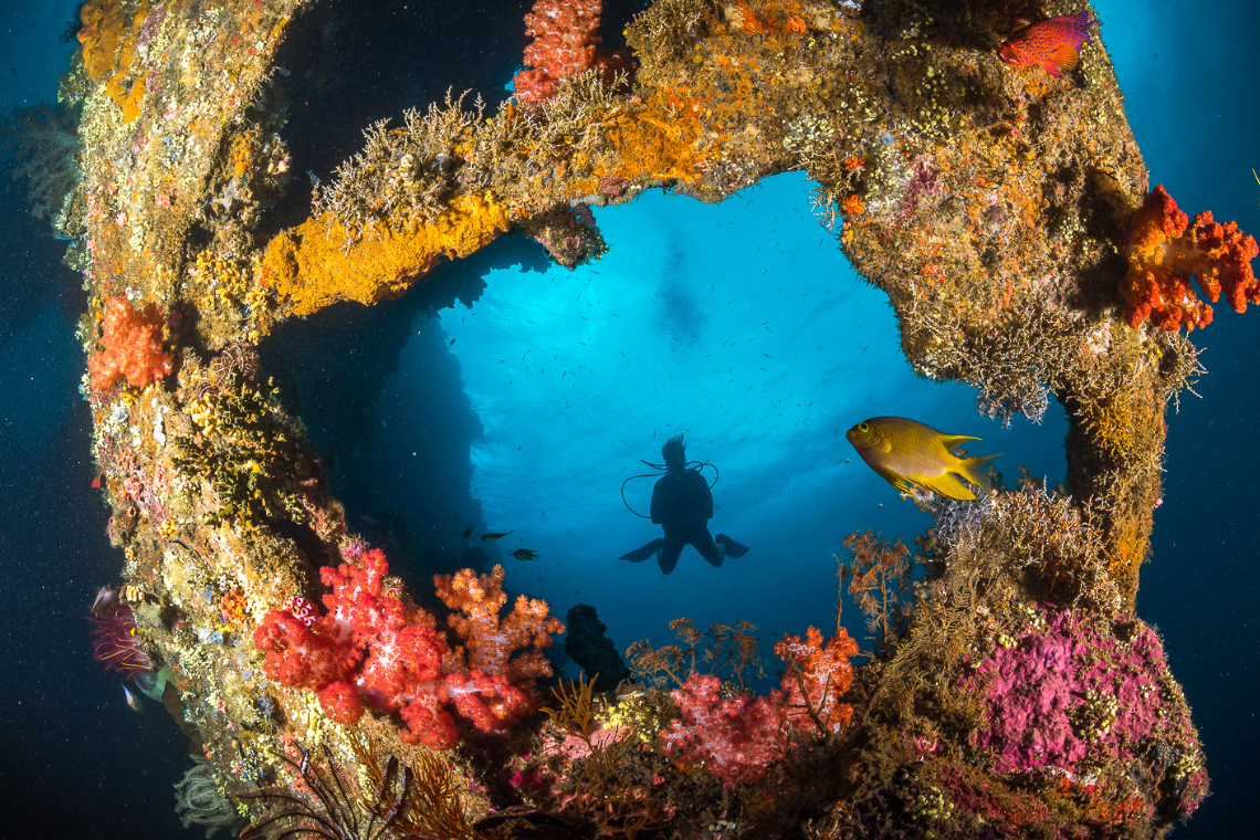 Siddharta Ocean front & Spa Duiken