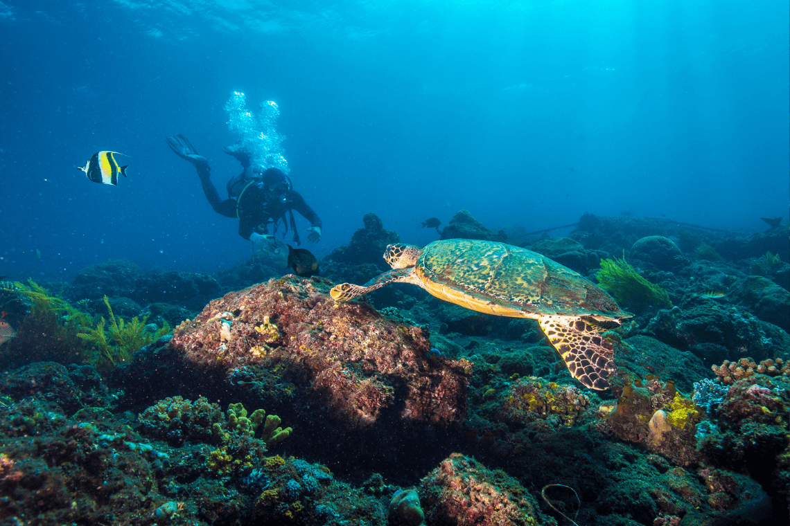 Siddharta Ocean front & Spa Duiken