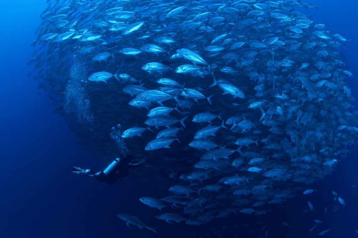 Atmosphere - duikcenter