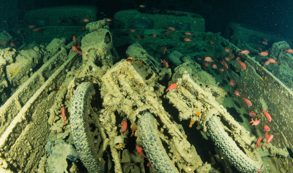 Red Sea Aggressor 5 Red Sea Aggressor 5