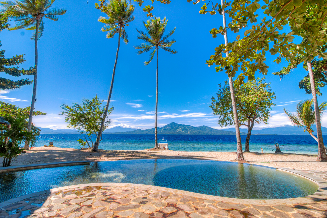 Kuda Laut - Celebes Divers