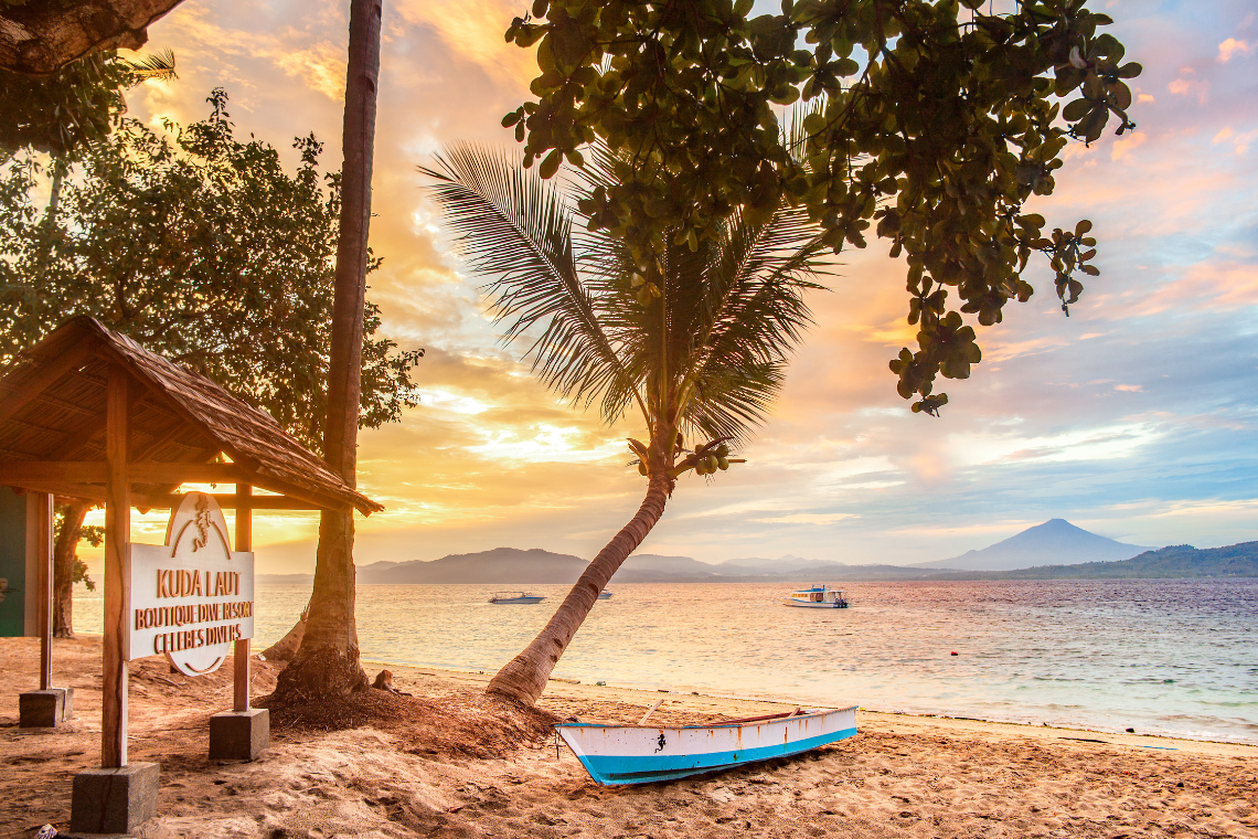 Kuda Laut - Celebes Divers