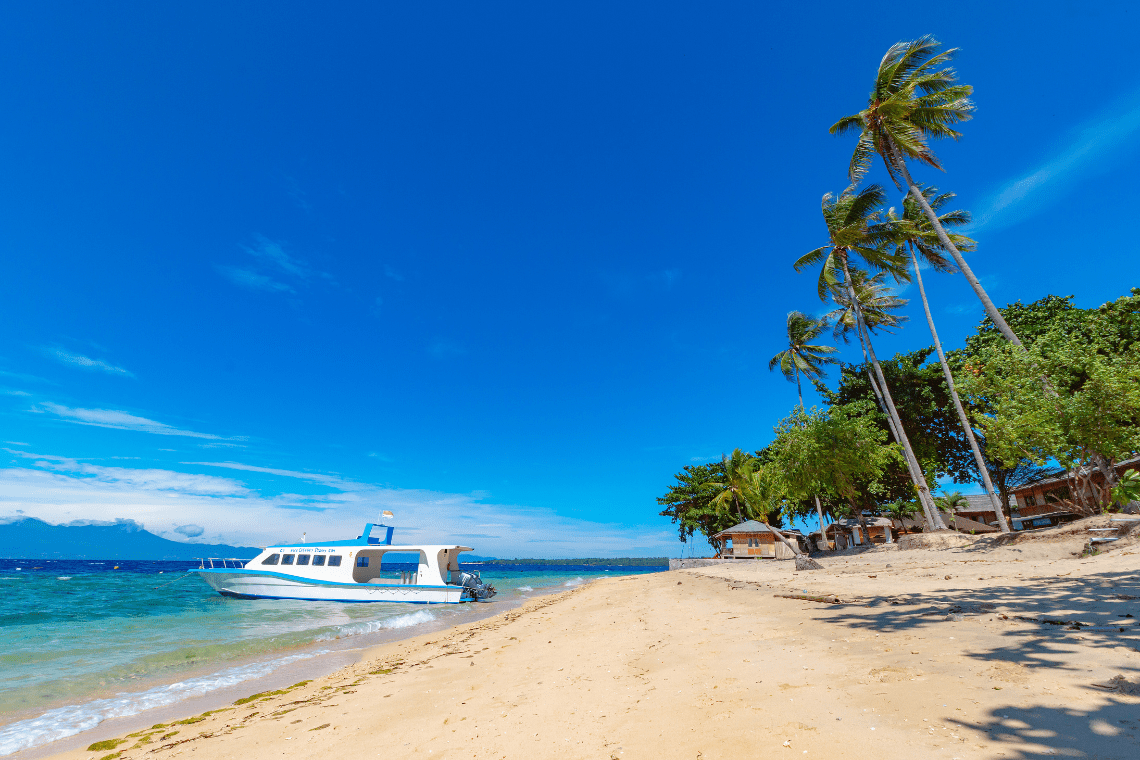 Kuda Laut - Celebes Divers