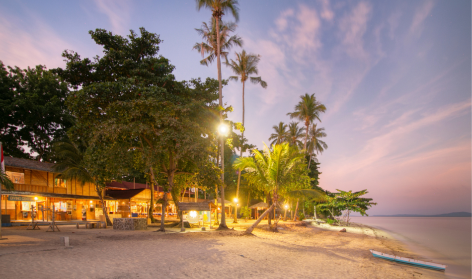 Kuda Laut - Celebes Divers