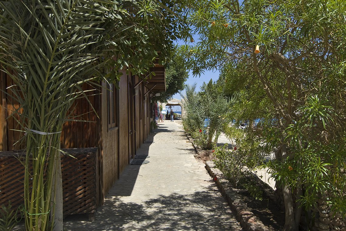 Sharks Bay Umbi Diving - Diving Holidays