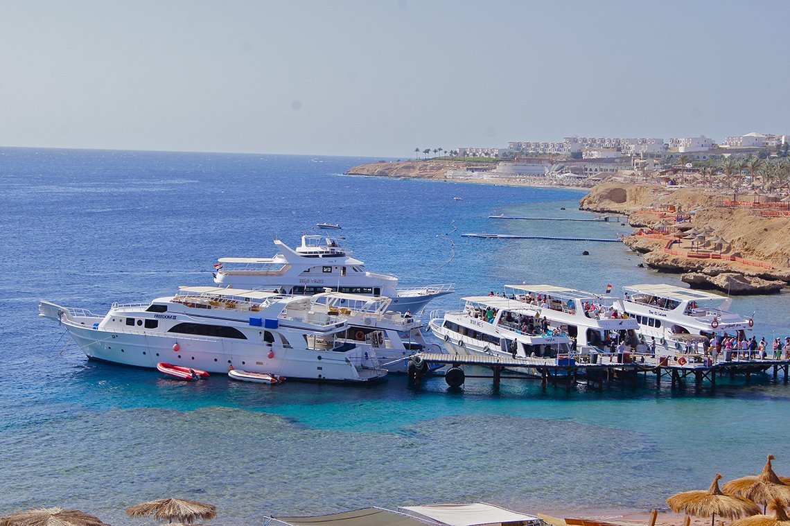 Sharks Bay Umbi Diving