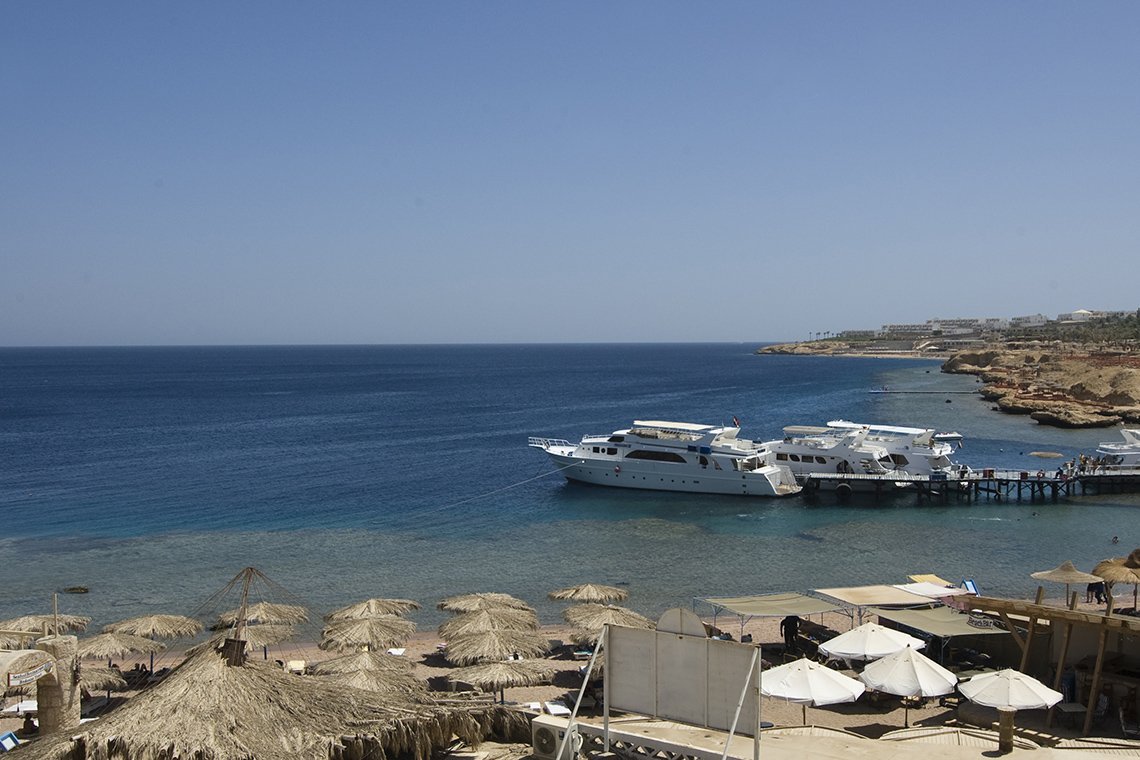 Sharks Bay Umbi Diving Sharks Bay Umbi Diving