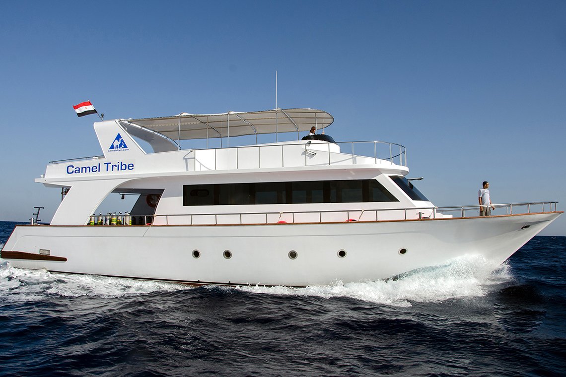 Camel Dive Club & Hotel - Diving Holidays