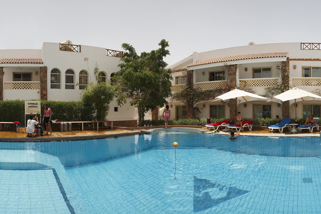 Camel Dive Club & Hotel - Zwembad Camel Dive Club & Hotel - Diving Holidays