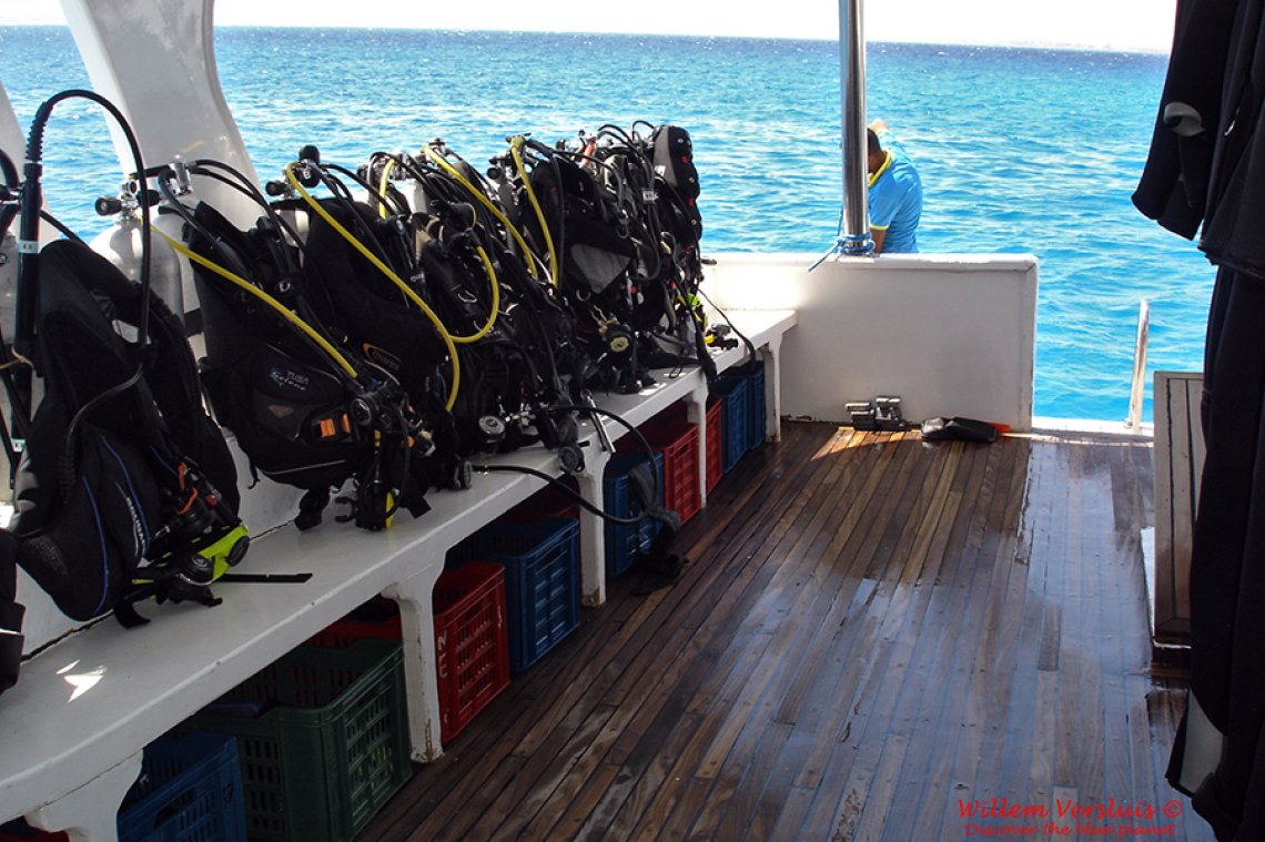 Nemo Dive Club en Hotel - Diving Holidays
