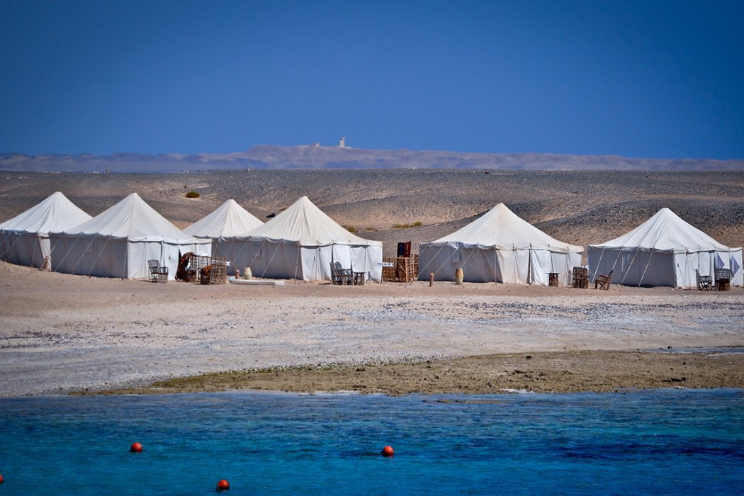 Red Sea Diving Safari / Marsa Nakari - Tent Red Sea Diving Safari / Marsa Nakari - Tent