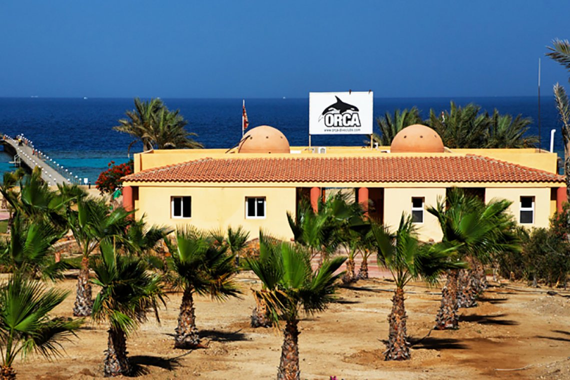 Orca Dive Clubs - Diving Holidays Orca Dive Clubs - Diving Holidays