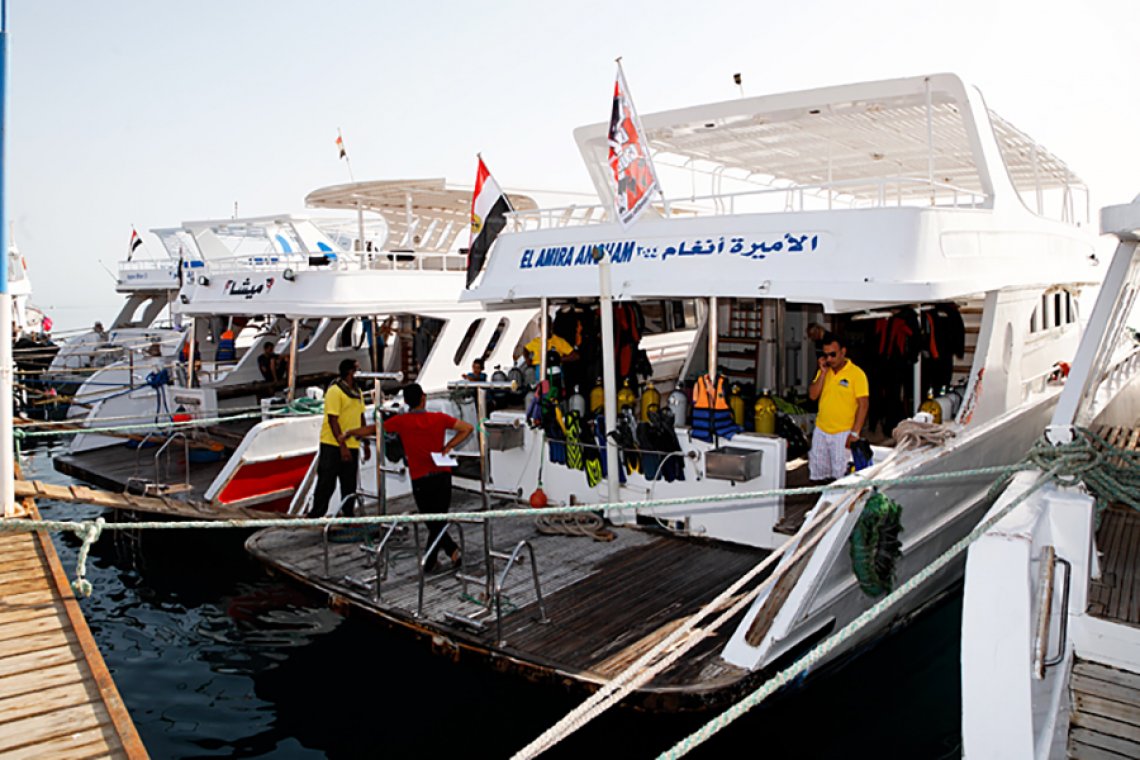 Orca Dive Clubs - Diving Holidays Orca Dive Clubs - Diving Holidays