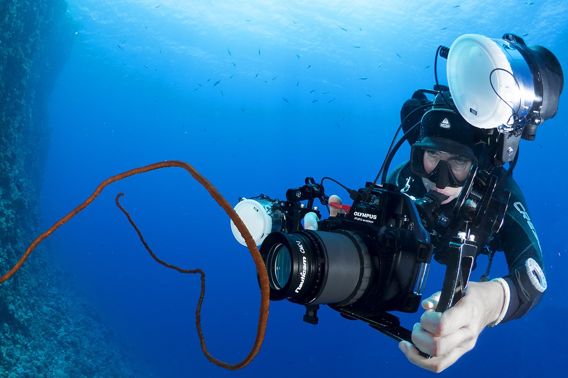 Wadi Gimal Divecenter - Diving Holidays