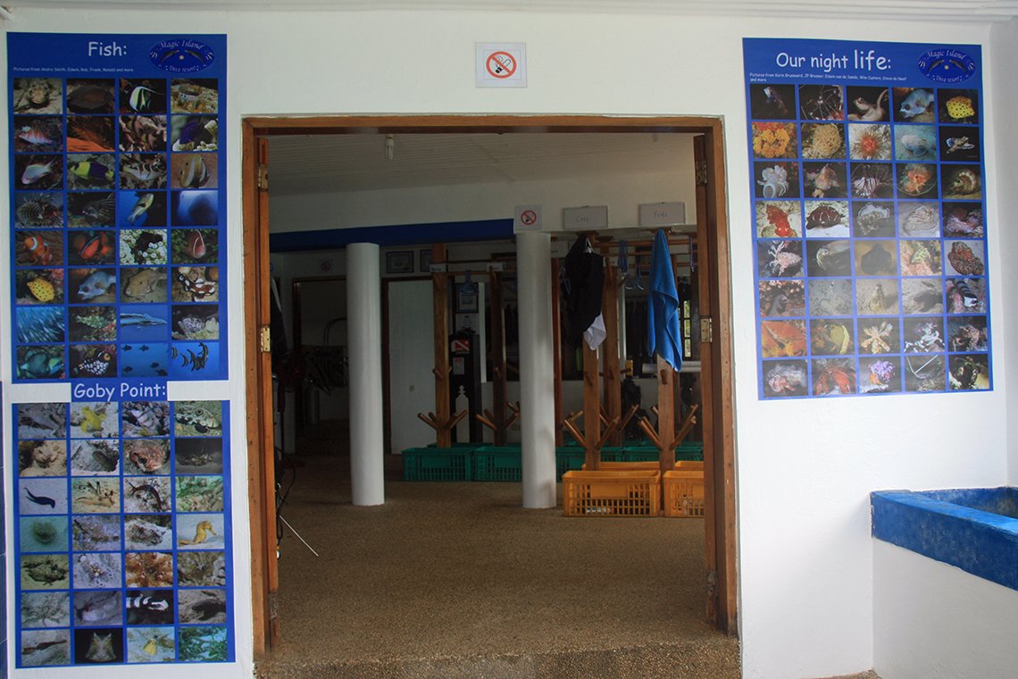 Magic Island Dive Resort - Diving Holidays  Magic Island Dive Resort - Diving Holidays