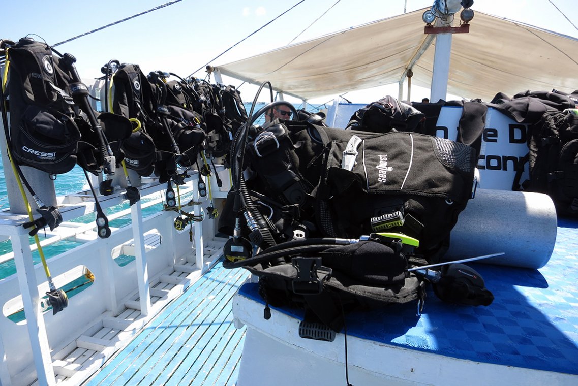 DevOcean Divers Malapascua - Diving Holidays DevOcean Divers Malapascua - Diving Holidays