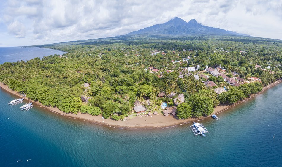 Pura Vida Beach & Dive Resort - Dauin - Diving Holidays