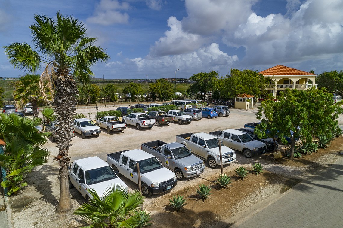 Buddy Dive Resort Bonaire - Diving Holidays