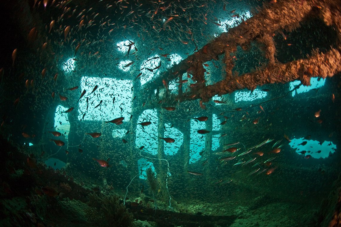 Asia Divers - Diving Holidays