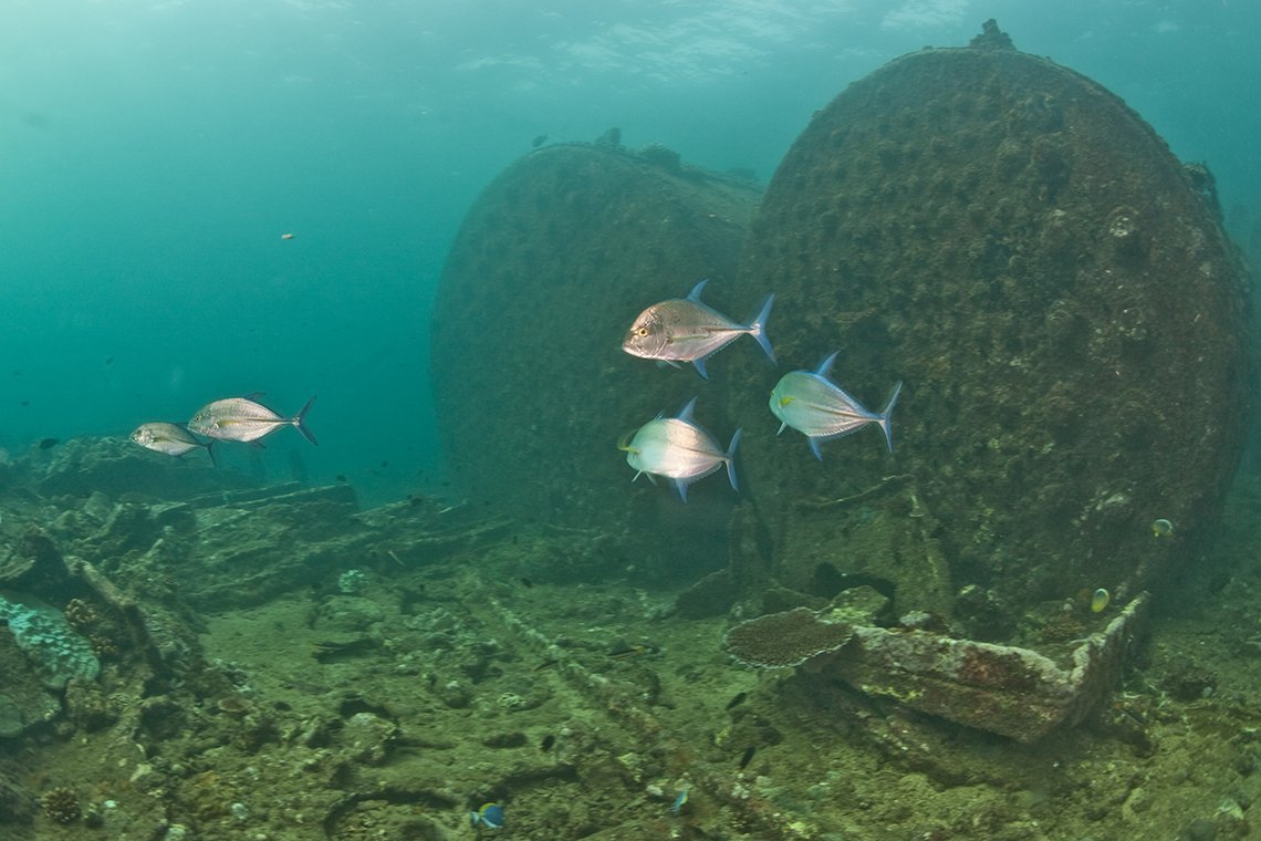 Asia Divers - Diving Holidays