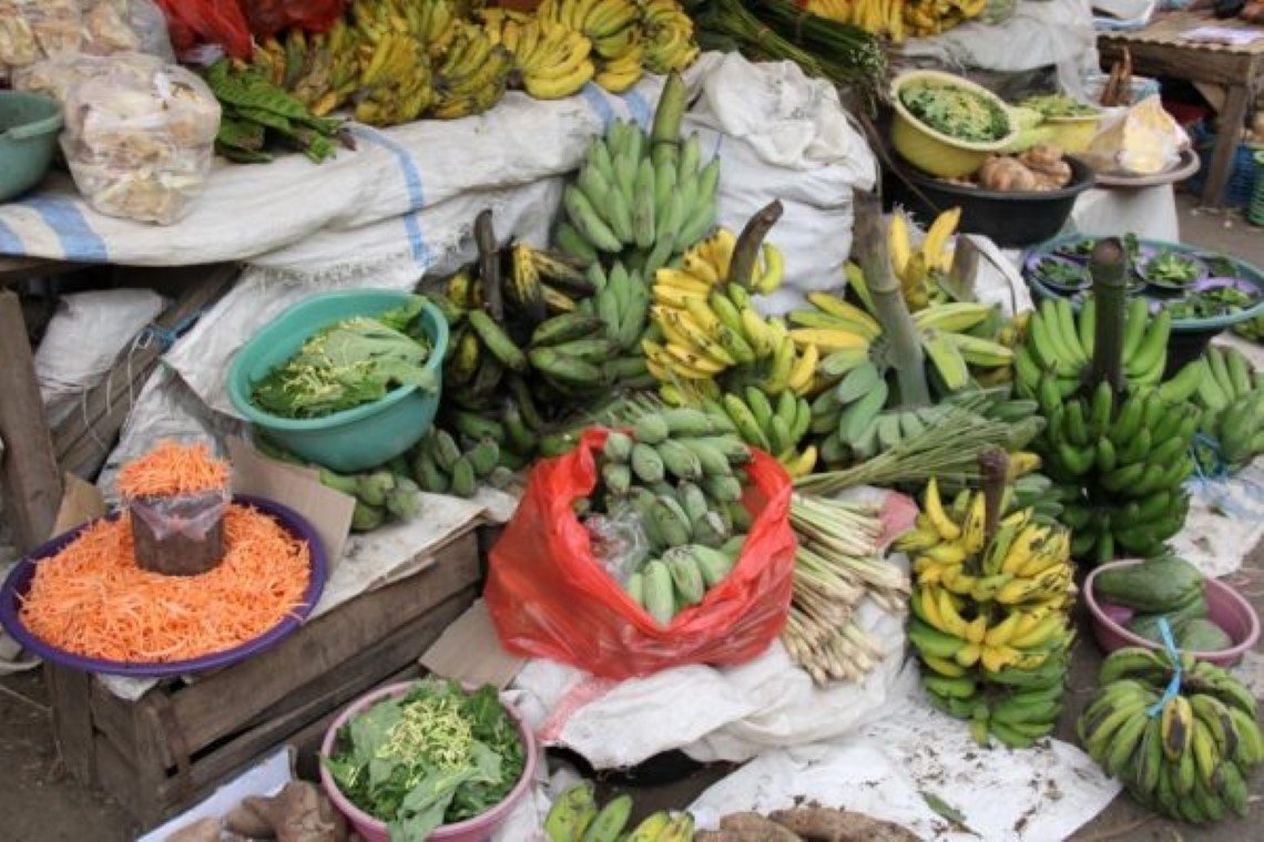 Thalassa Dive Resorts - Sea it All