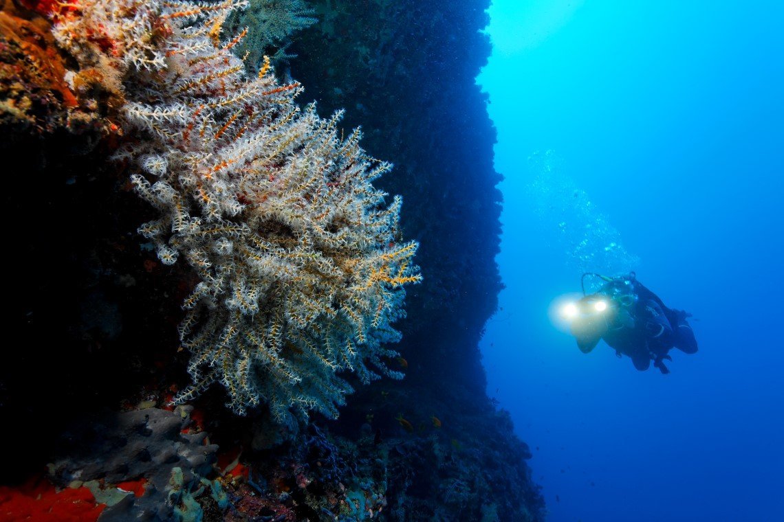 Werner Lau Diving Center - Diving Holidays