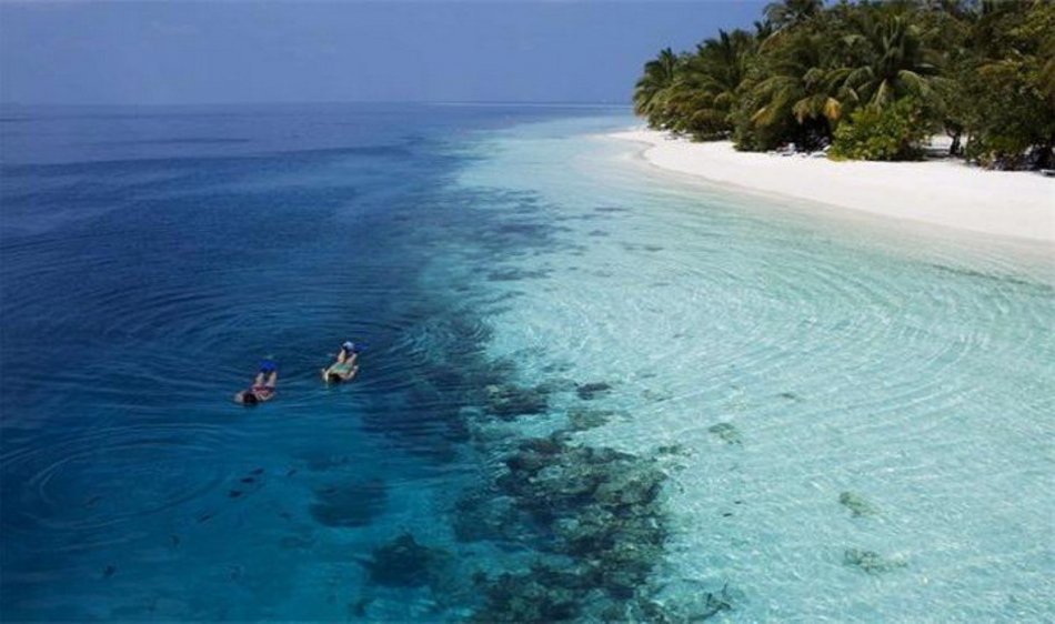 Vilamendhoo Island Resort - Diving Holidays