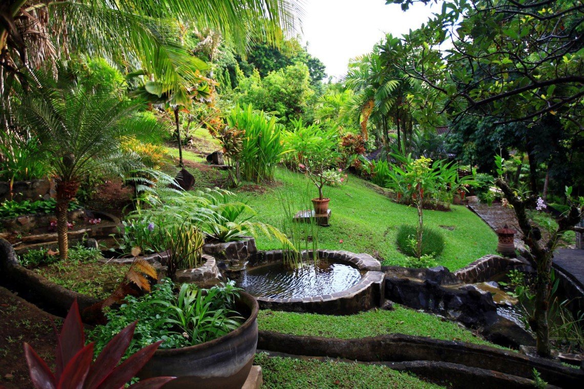 Lumba Lumba Diving - Diving Holidays