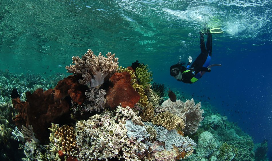 Bunaken Divers Seabreeze Resort - Diving Holidays