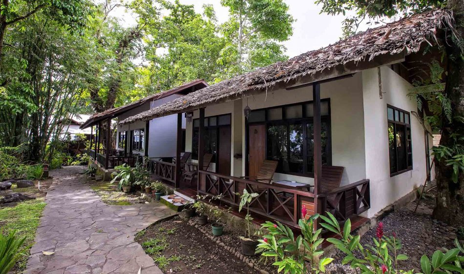 Murex Manado Dive Resort - Diving Holidays